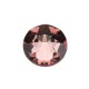 Blush Rose