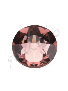 Blush Rose