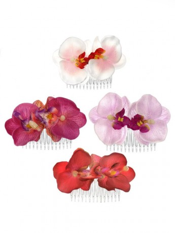 Decorative Orchid