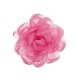 Michelle decorative peony