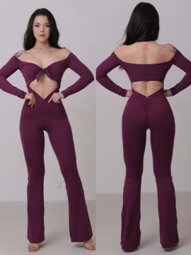 Santiago Plum dance jumpsuite long sleeve LaFitwear