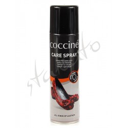 Care Spray for leather shoes