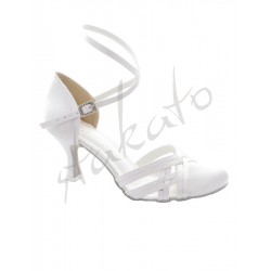 Satkato model WST-6c