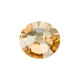 Crystal Golden Shadow