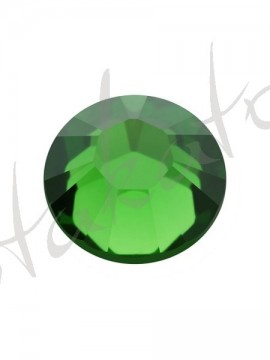 Fern Green