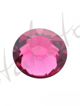 Indian Pink
