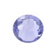 Provence Lavender