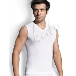 Seamless V-neck shirt Between V