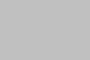 033 Gris (szary)